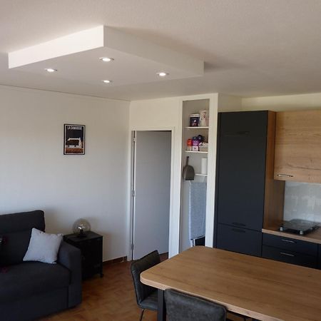 Sol-Y-Days Flamant, Superbe Appartement En Rez De Jardin Avec Grande Terrasse Et Jardinet, Face A La Mer Le Grau-du-Roi Exteriör bild